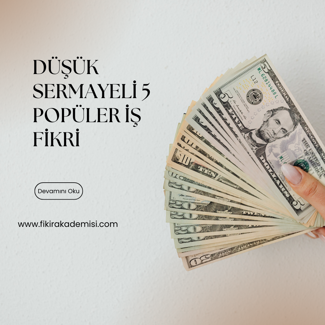 DÜŞÜK SERMAYELİ 5 POPÜLER İŞ FİKRİ
