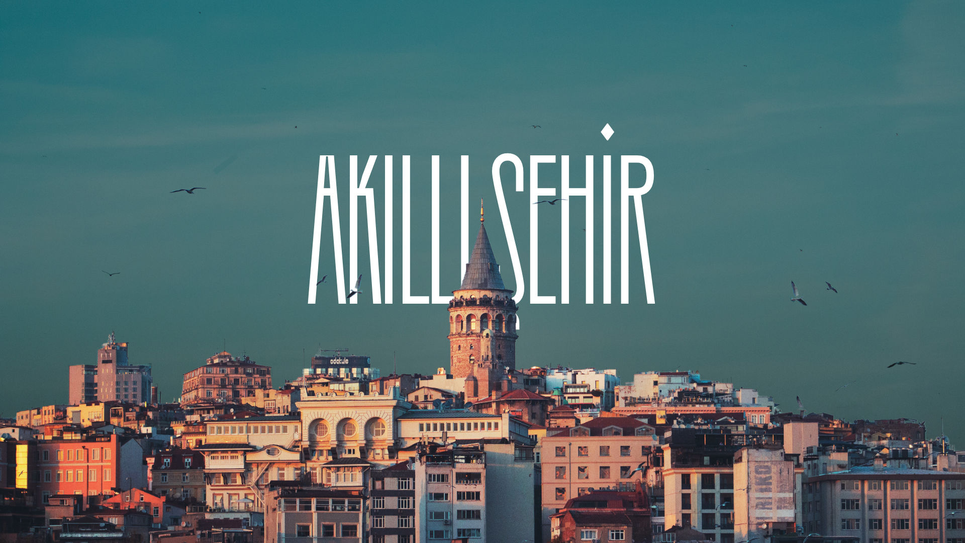 akıllı şehir bahçeciliği istanbul