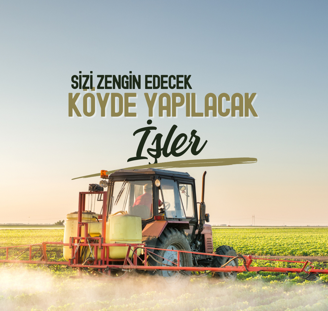 Köyde Yapılacak İşler